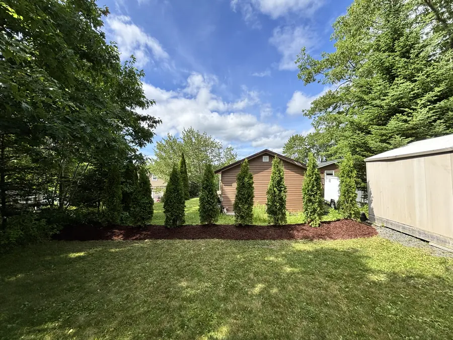 Young cedar trees planted along a black mulch border beside a green lawn with mature evergreens behind — landscaping project in Halifax, Nova Scotia
