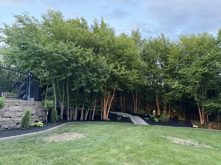 Tall birch trees behind a stone retaining wall with a mulched garden edge and a green lawn — landscaping project in Halifax, Nova Scotia