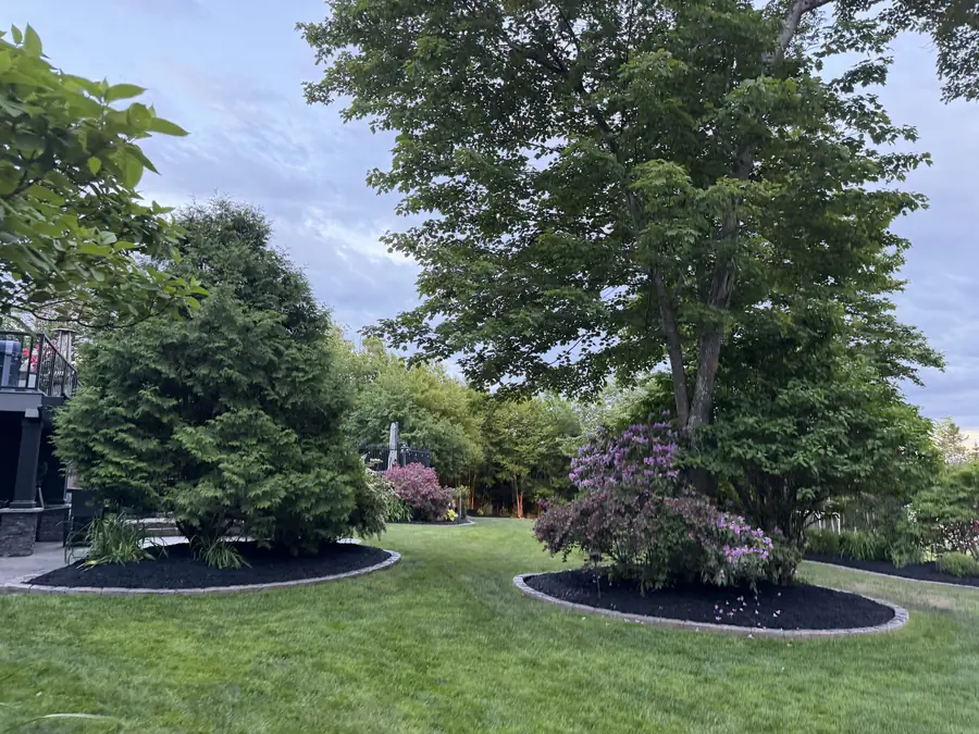 Mature ornamental trees and flowering shrubs in black mulch beds with curved edging across a green lawn — landscaping project in Halifax, Nova Scotia